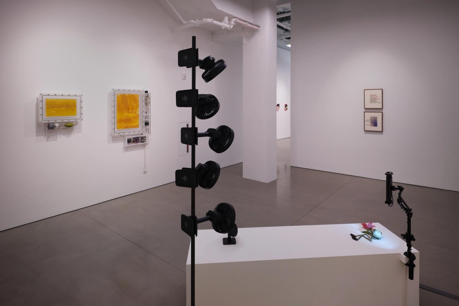 Installation view of Contours of Zero: Emerging Korean Artists in New York, on view at Space ZeroOne from November 7 through December 20, 2025. Photo: Charlie Rubin