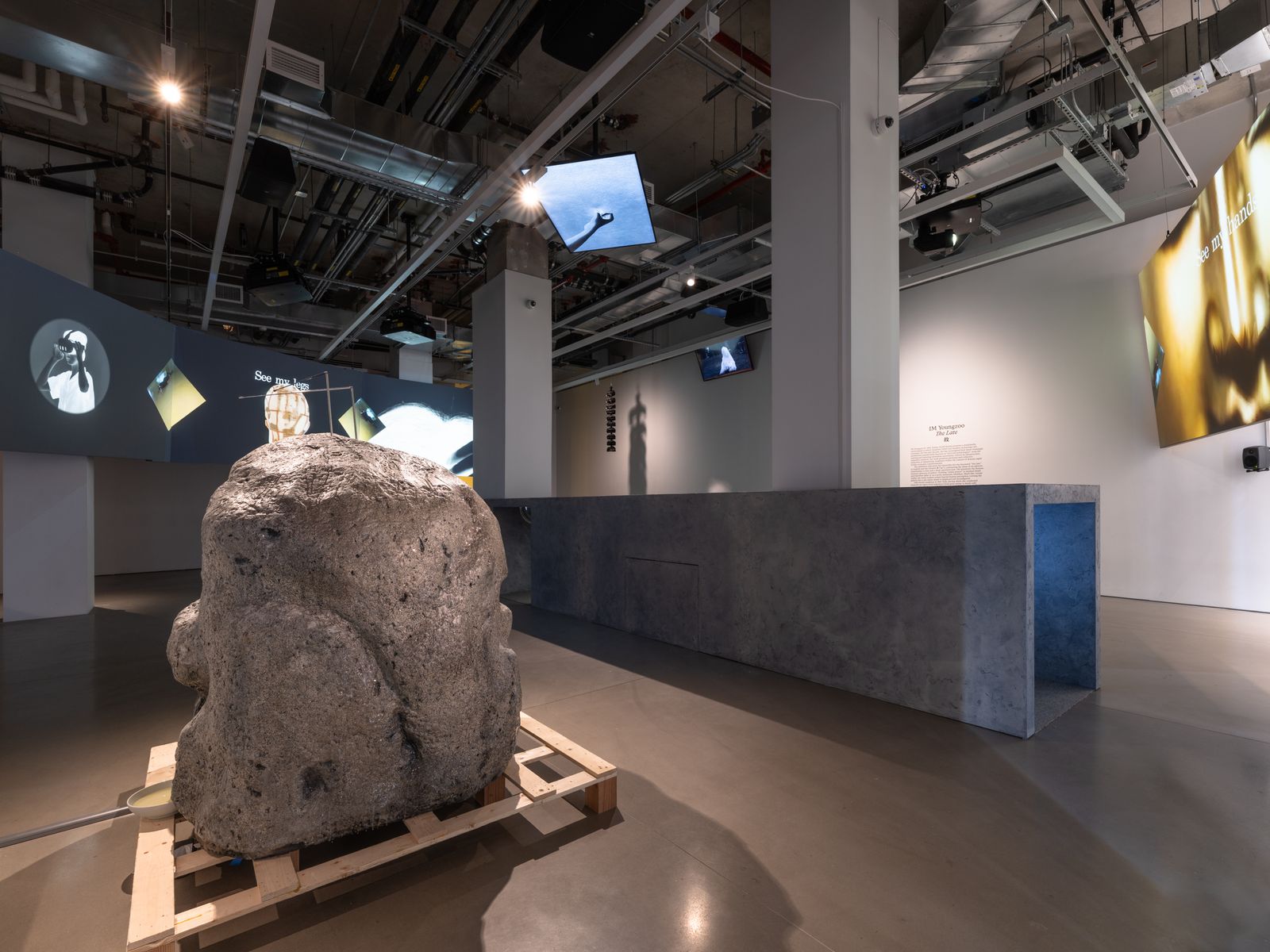 Installation view of “IM Youngzoo: The Late 故,” on view at Space ZeroOne from May 15 through July 25, 2026. Photo: Jason Mandella